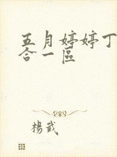 五月婷婷丁香综合一区