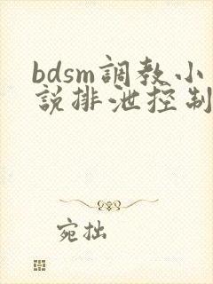 bdsm调教小说排泄控制