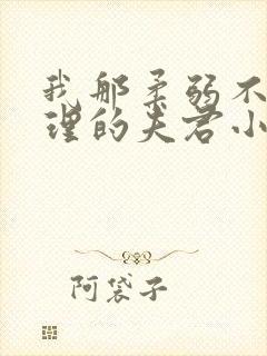 我那柔弱不能自理的夫君小说无广告