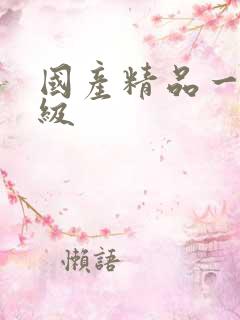 国产精品一品一级