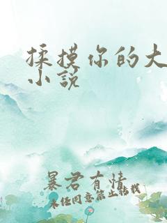 揉摸你的大奶子小说