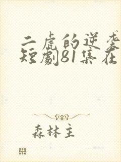 二虎的逆袭人生短剧81集在线观看