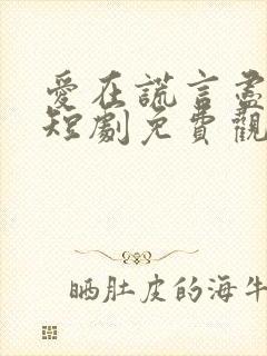 爱在谎言尽头时短剧免费观看全集