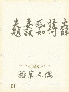 夫妻感情出现问题该如何解决呢