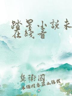 踏星小说未删减在线看