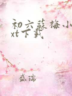 初六苏梅小说txt下载