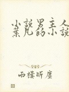 小说男主人公叫叶凡的小说名字