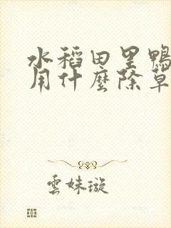 水稻田里鸭舌草用什么除草剂