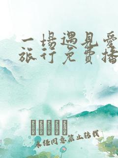 一场遇见爱情的旅行免费播放
