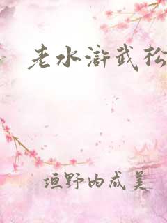 老水浒武松演员