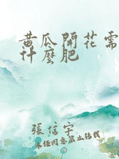 黄瓜开花需要施什么肥