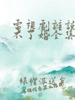 电视剧谁说我结不了婚全集免费播放