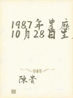 1987年农历10月28日生辰八字