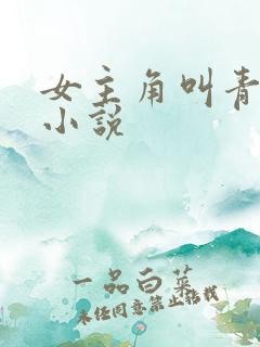 女主角叫青鸢的小说