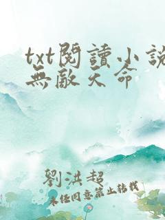 txt阅读小说无敌天命