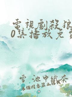 电视剧杀狼花40集播放免费