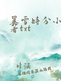 暴雪时分小说原著txt