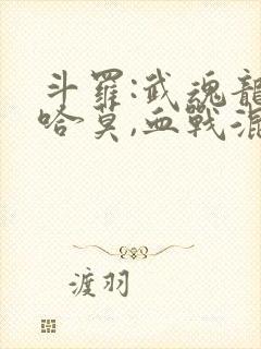 斗罗:武魂龙神哈莫,血战混沌