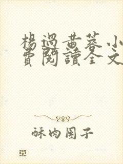 杨过黄蓉小说免费阅读全文