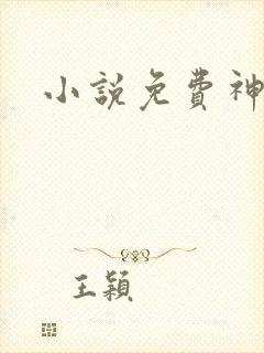 小说免费神王令