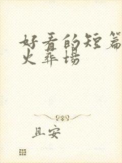 好看的短篇追妻火葬场