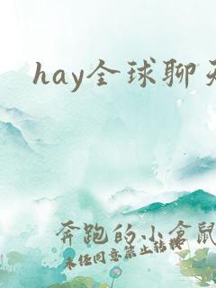 hay全球聊天