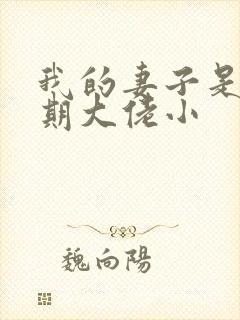 我的妻子是大乘期大佬小