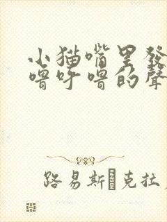 小猫嘴里发出呼噜呼噜的声音