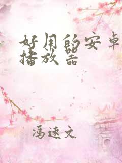 好用的安卓本地播放器