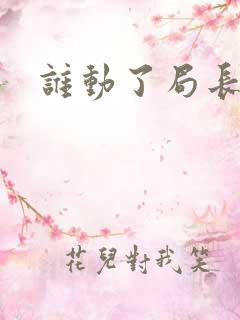 谁动了局长夫人