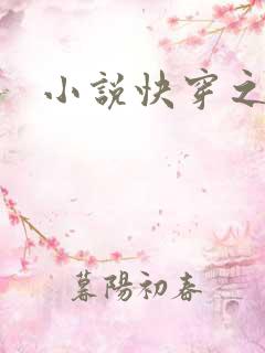 小说快穿之h