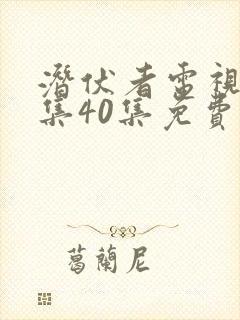 潜伏者电视剧全集40集免费观看谍战
