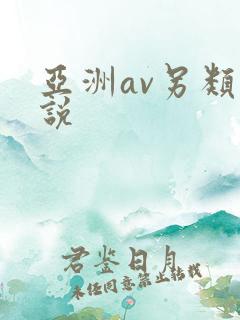 亚洲av另类小说