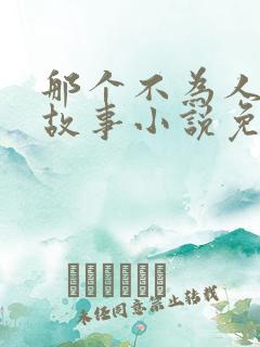 那个不为人知的故事小说免费全集