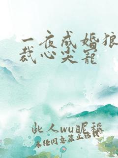 一夜成婚狼性总裁心尖宠