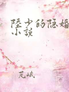 陆少的隐婚罪妻小说