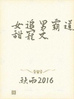 女追男霸道总裁甜宠文