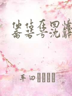 他站在回忆尽头乔若兮沈辞安全文阅读