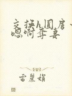 交换h圆房～h嗯啊夺妻