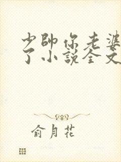 少帅你老婆又跑了小说全文免费阅读