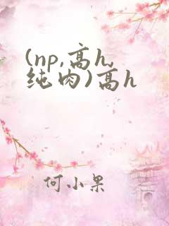 (np,高h,纯肉)高h
