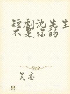短剧沈先生孩子不是你的