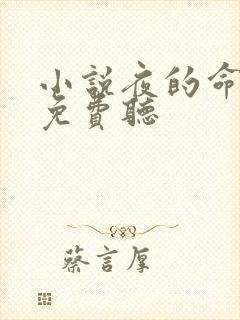 小说夜的命名术免费听