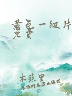 黄色一级片夫妻免费
