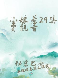 小娘惹29集免费观看