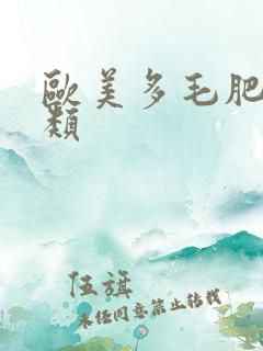 欧美多毛肥妇另类