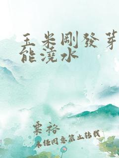 玉米刚发芽能不能浇水