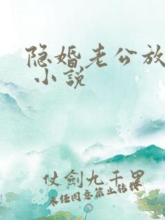 隐婚老公放肆宠 小说