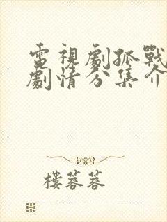 电视剧孤战迷城剧情分集介绍