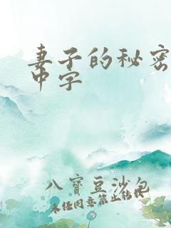 妻子的秘密电影中字